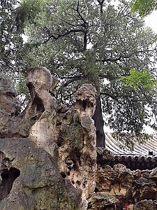 PEKIN - PARC BEIHAI (29)
